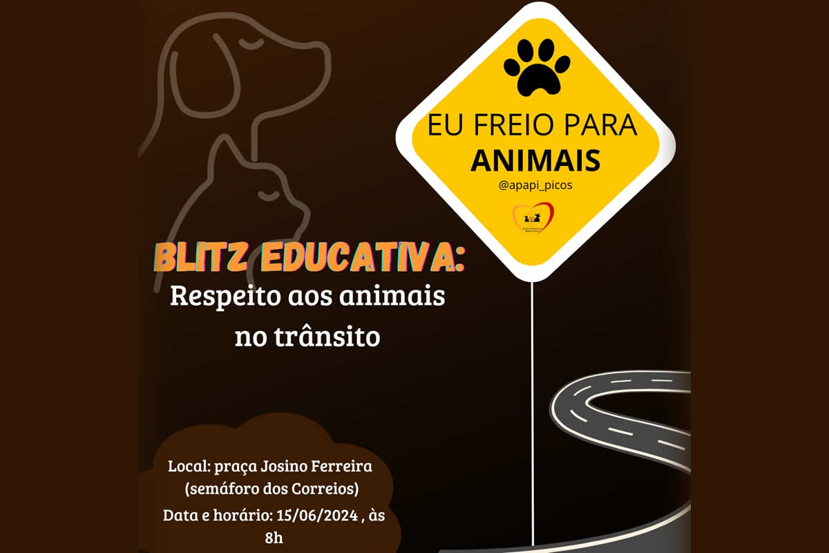 ONG APAPI realiza blitz educativa em Picos para conscientização sobre respeito aos animais
