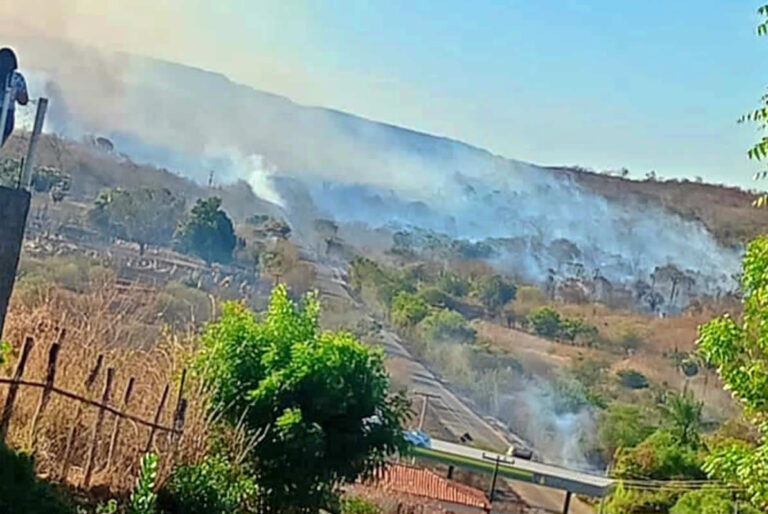 Casal escapa de morte após ser atingido por árvore na rodovia Picos-Bocaina