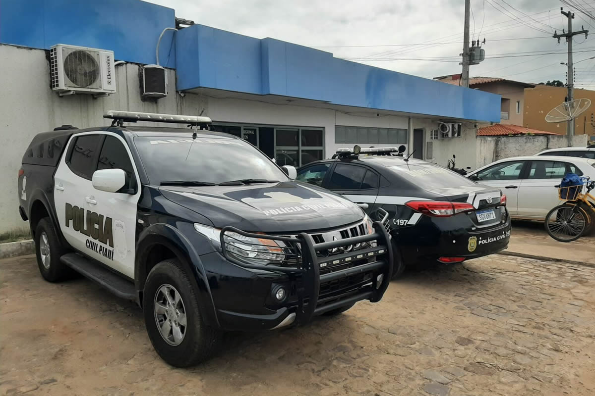 Polícia Civil desarticula grupo de tráfico de drogas em Picos