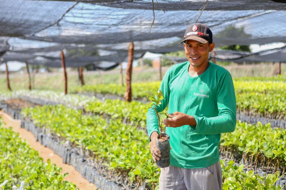 Governo do Estado divulga resultado de projetos selecionados para o programa Piauí Sustentável e Inclusivo