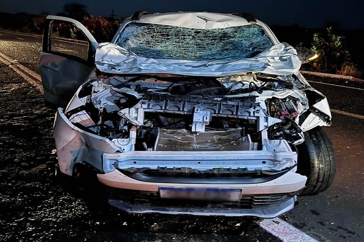 Pároco de São Julião colide carro com animal na BR-230