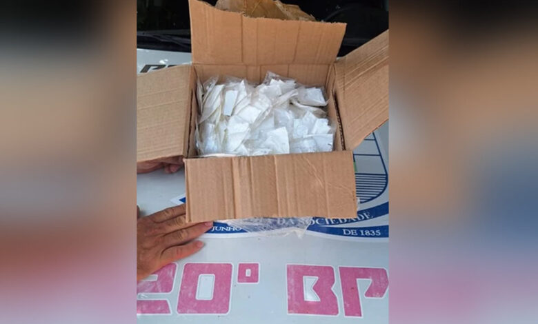 Droga apreendida em Marcolândia - Foto: PMPI