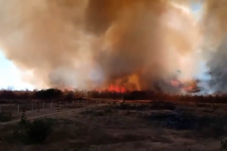 Bombeiros e Secretaria de Meio Ambiente combatem incêndio na zona rural de Pio IX; veja vídeo!