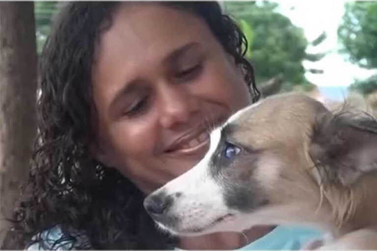 Dezembro Verde: Campanha em Picos reforça combate ao abandono e maus-tratos contra animais