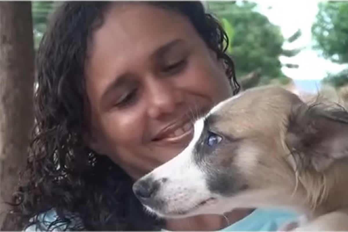 Dezembro Verde: Campanha em Picos reforça combate ao abandono e maus-tratos contra animais
