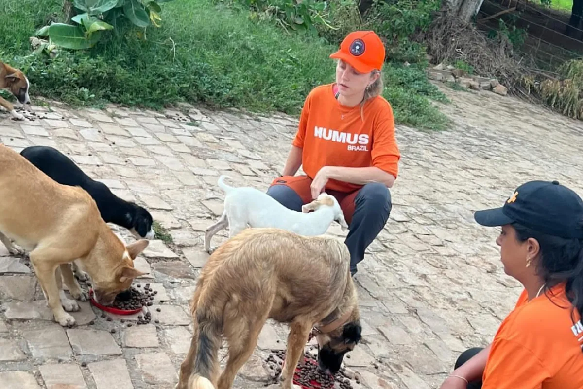 Voluntários de Belo Horizonte reforçam cuidados com animais em áreas afetadas pelas chuvas em Picos