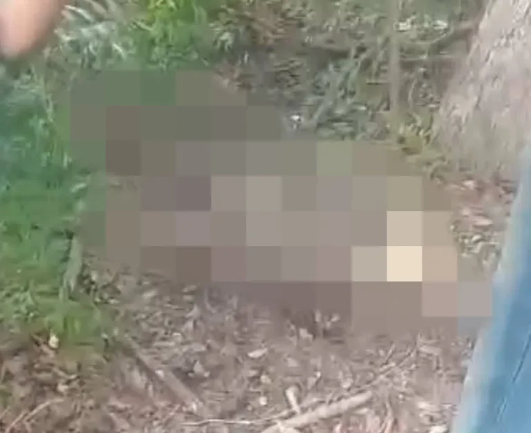 Ossada humana é encontrada em Jaicós; veja vídeo