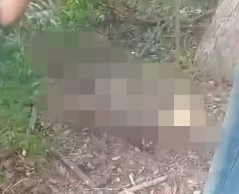 Ossada humana é encontrada em Jaicós; veja vídeo
