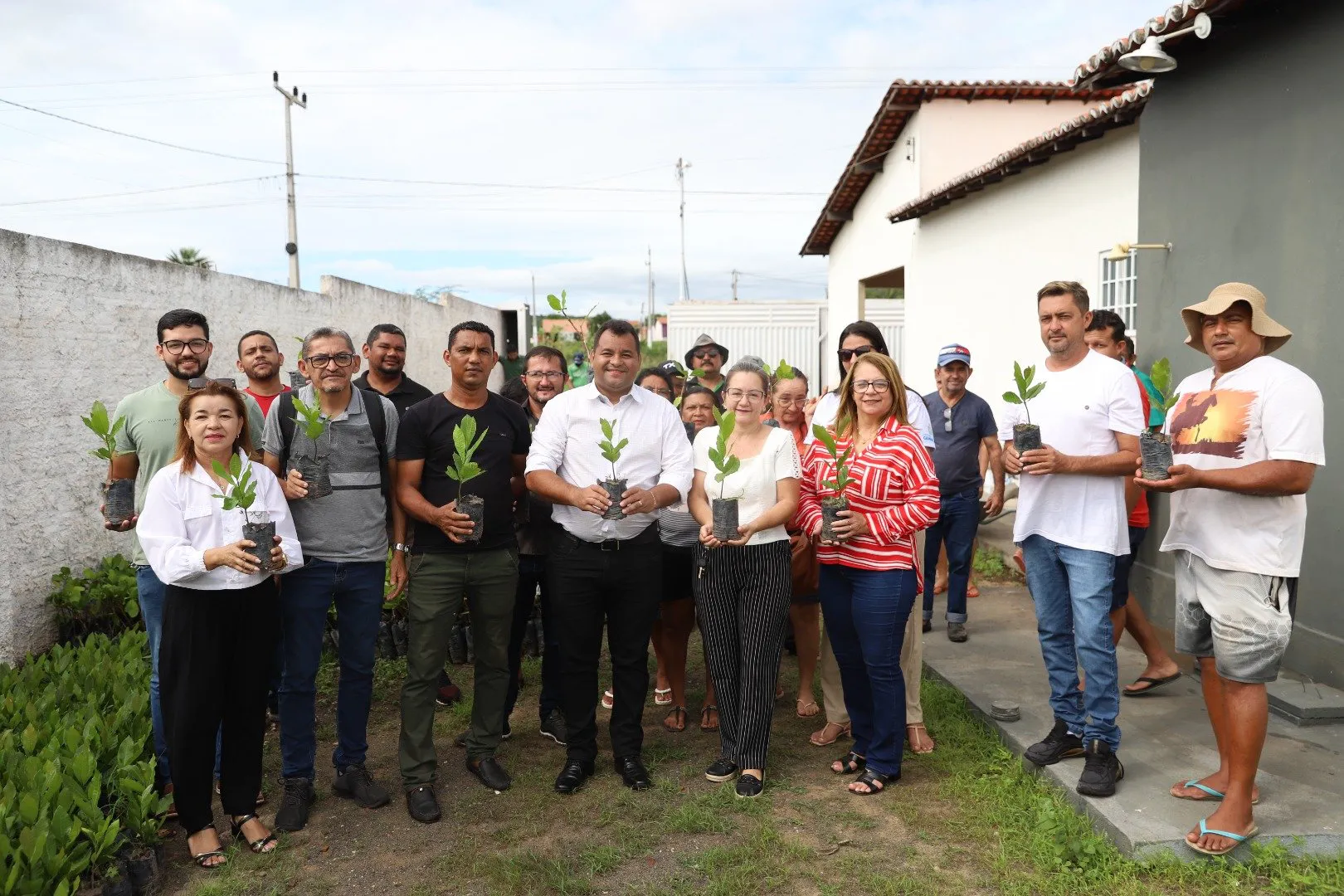 Prefeitura de Geminiano realiza distribuição de mudas de caju para agricultores