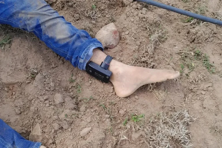 Homem é assassinado a tiros na zona rural de Vera Mendes