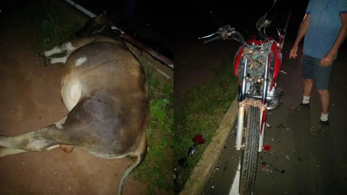 Homem morre após colidir contra animal na pista no povoado Pai Amaro