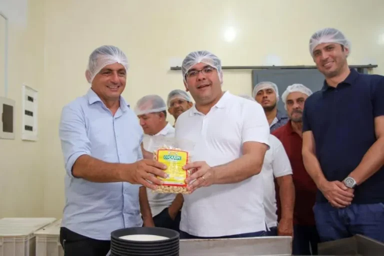 Com apoio da Badespi, Cocajupi já exportou 25 toneladas de castanha