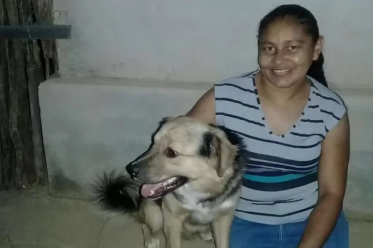 Polícia investiga morte de cachorro baleado em Simões