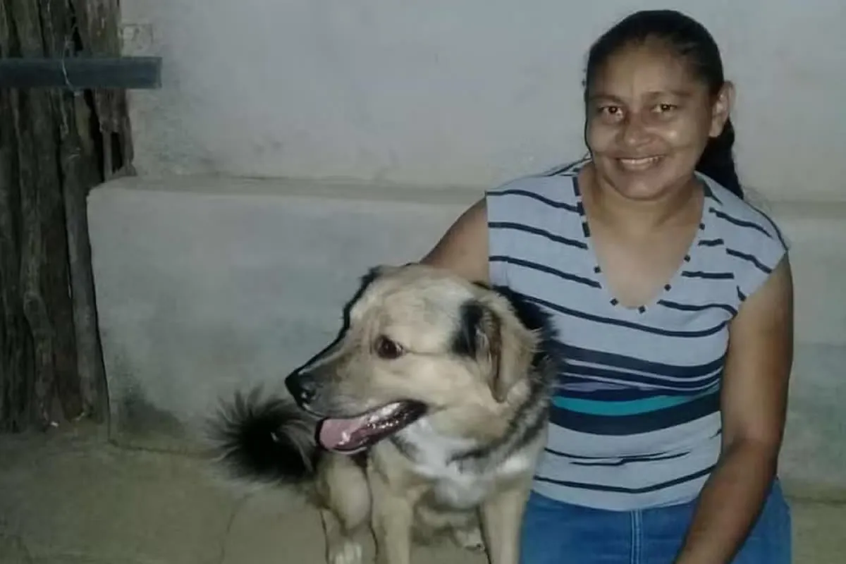 Polícia investiga morte de cachorro baleado em Simões