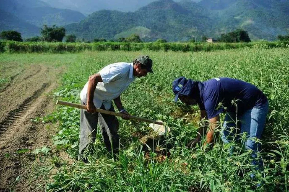 Agricultores do Picos começam a receber Garantia-Safra a partir desta terça