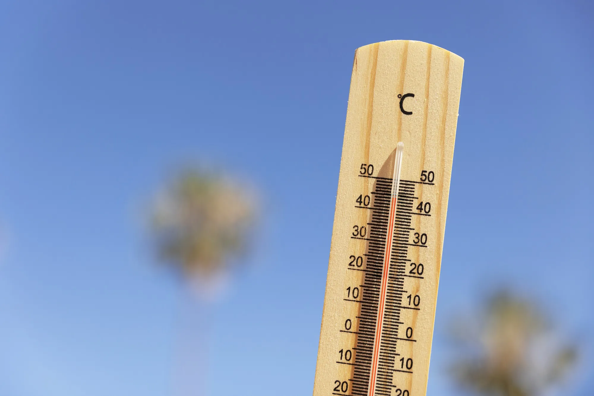 Cidade do Piauí registra maior e menor temperatura do estado; entenda variação