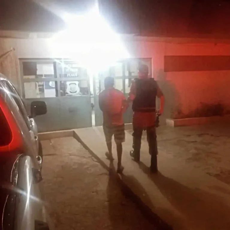 Homem é detido suspeito de maus tratos a cão em Sussuapara