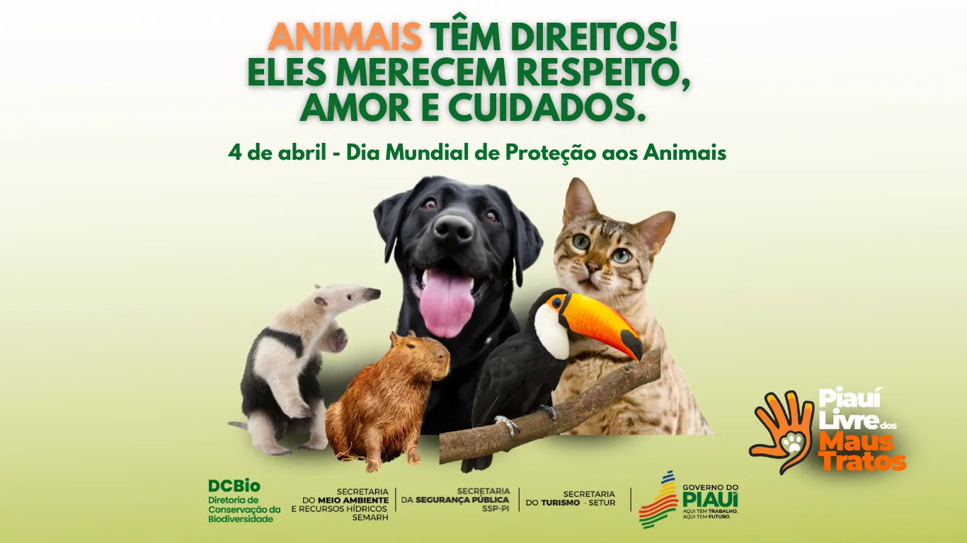 Governo do Estado realiza ações para combater maus-tratos contra os animais durante o Abril Laranja