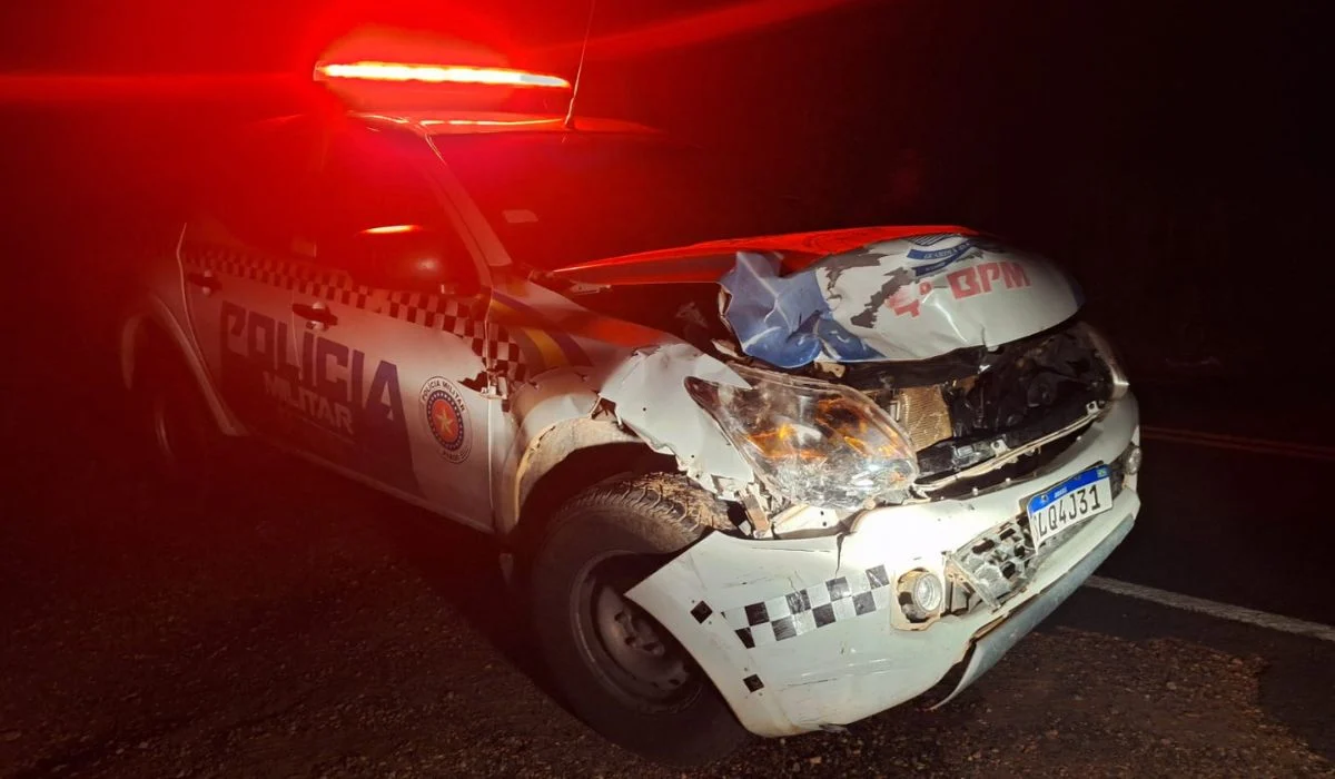 Em Alagoinha do Piauí, viatura da Polícia Militar colide contra animal solto em rodovia estadual