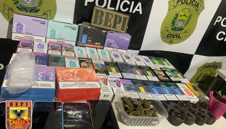 Operação conjunta apreende drogas, vapes e mudas de maconha em Monsenhor Hipólito