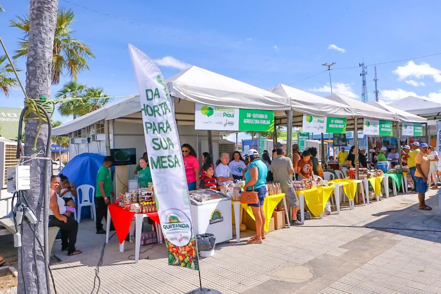 Extrema pobreza cai 50% no Piauí e estado lidera ranking do Nordeste