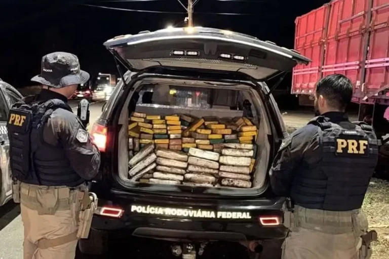 PRF no Piauí bate recorde histórico de apreensão de drogas em 2025
