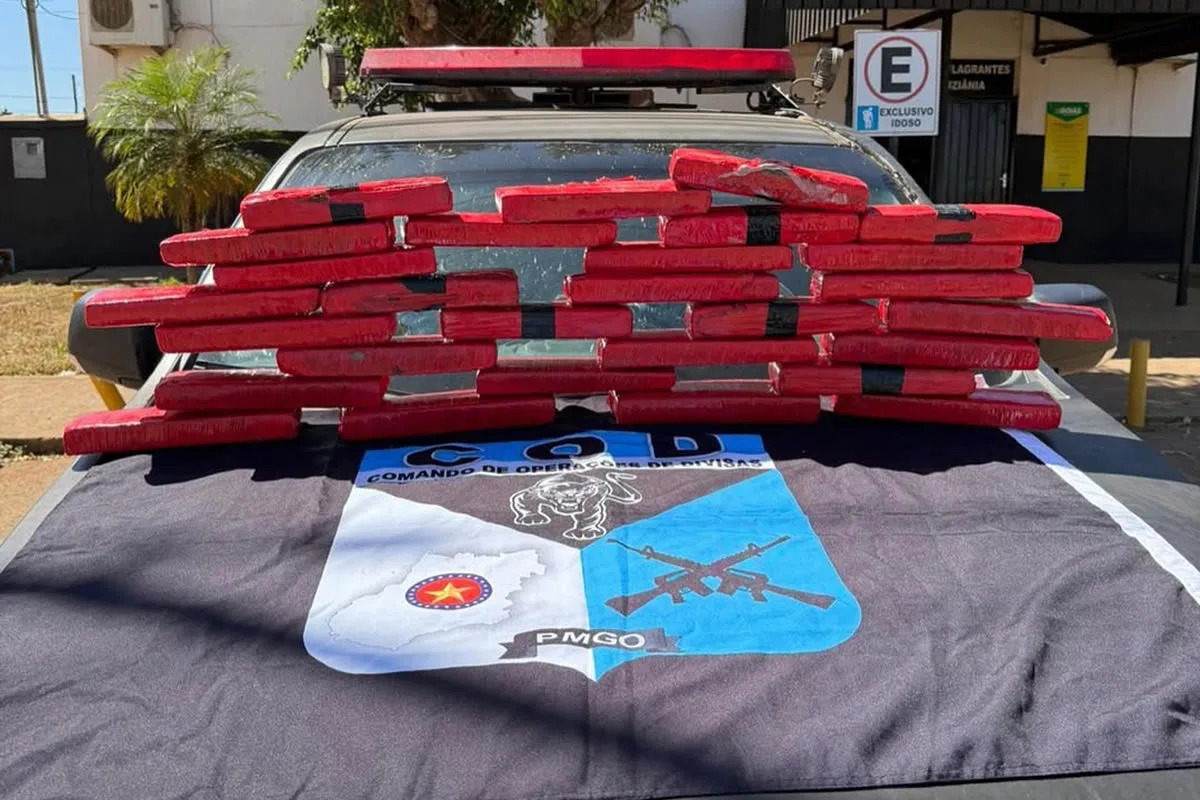 Droga apreendida durante operação - Foto: PMGO