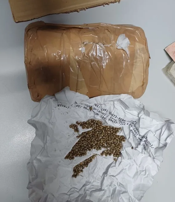 PRF detém dois homens com material para plantio de maconha