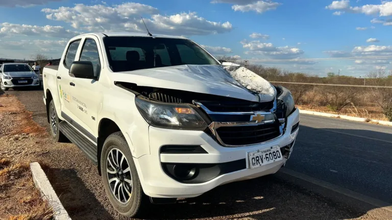 Idoso morre após ser atropelado por caminhonete na BR 407 em Picos