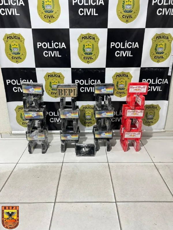 Ação integrada das forças de segurança apreende 47 kg de cocaína avaliados em mais de R$ 2 milhões em Oeiras