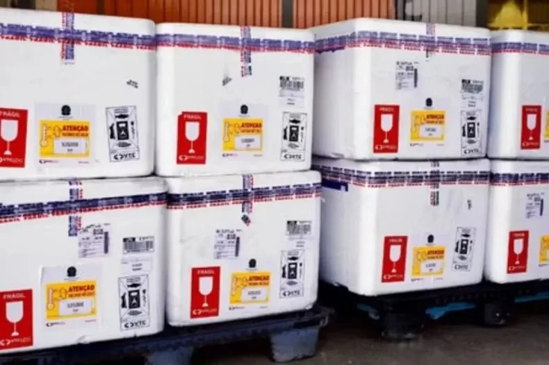 Picos deve receber 250 doses da vacina contra vírus sincicial respiratório para gestantes