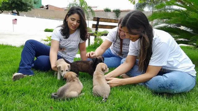 Secretaria de Proteção e Defesa Animal e APAPI vão realizar “Feirinha de Adoção” nesta sexta-feira (23)