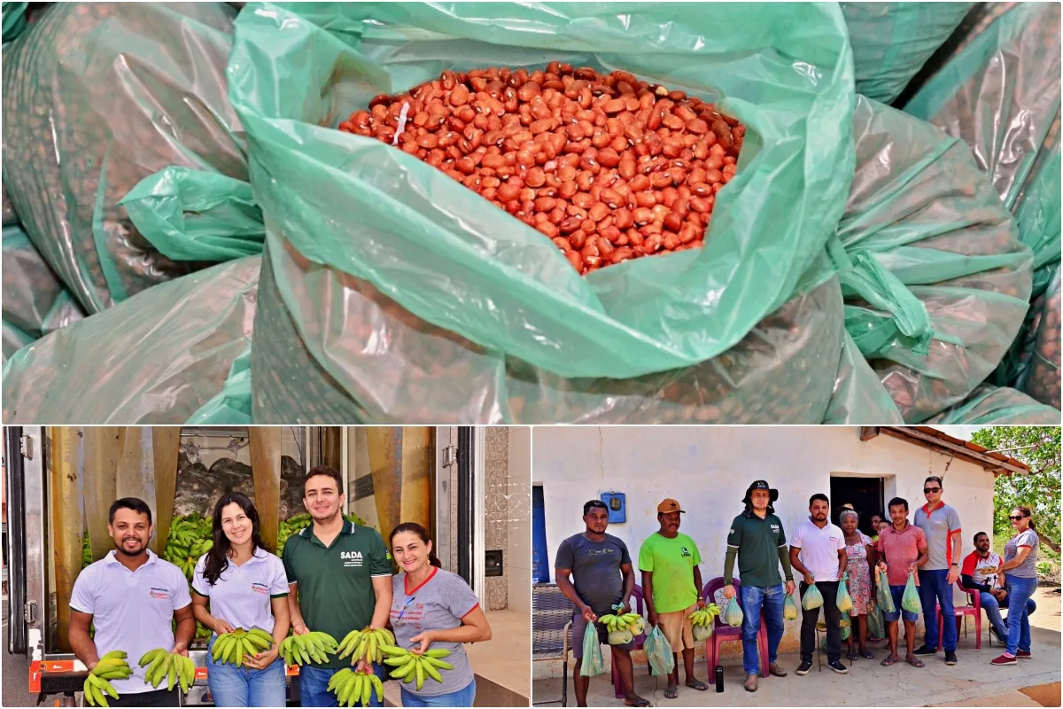 Prefeitura de Santo Antônio de Lisboa realiza entrega de sementes e fortalece a agricultura familiar