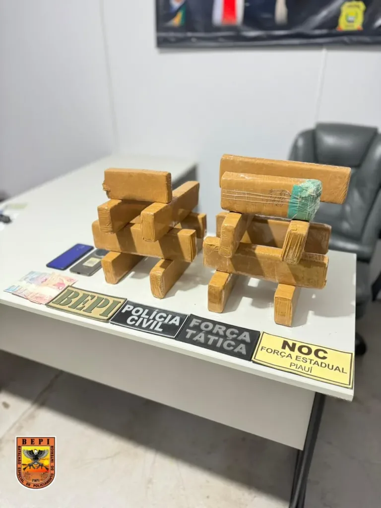 Operação integrada apreende 15 tabletes de maconha em ônibus interestadual em Picos