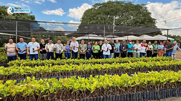 Prefeitura de Ipiranga do Piauí entrega 50 mil mudas de caju anão precoce e 4 mil fechos de manivas de mandioca e fortalece a agricultura familiar
