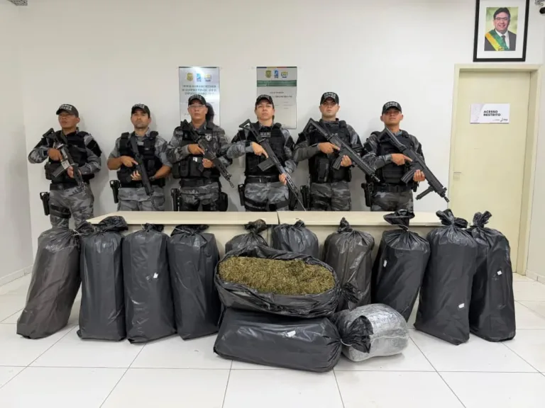 PM apreende maconha em sacos plásticos na estrada que liga Simplício Mendes a Conceição do Canindé