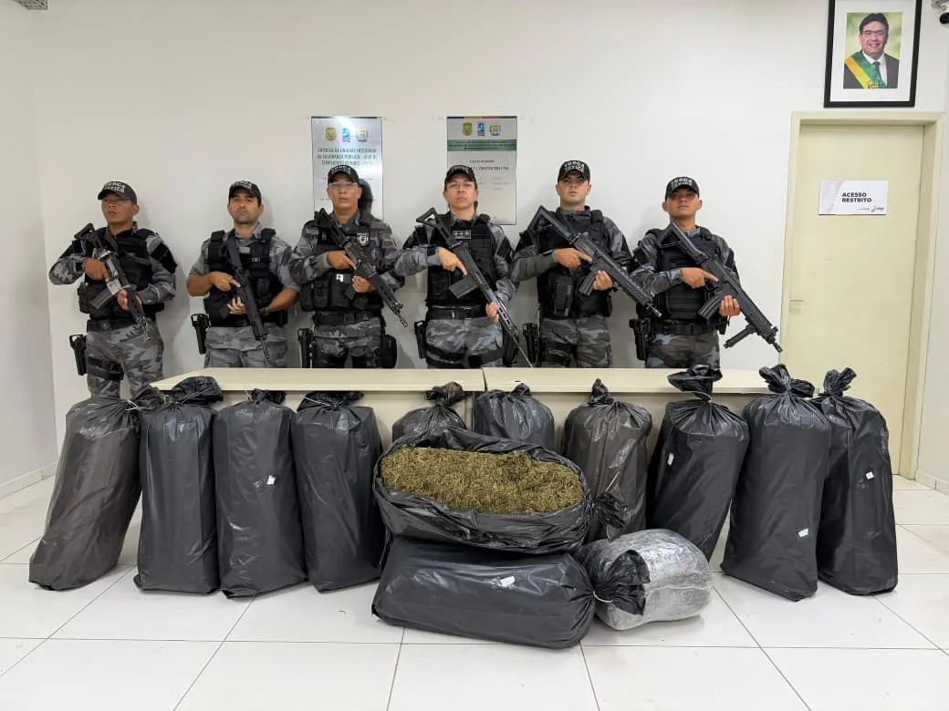 PM apreende maconha em sacos plásticos na estrada que liga Simplício Mendes a Conceição do Canindé