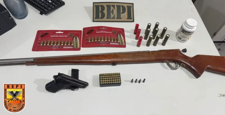 PM apreende pistola, espingarda e mais de 80 munições na zona rural de Paquetá