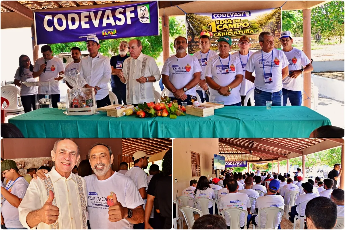 Santo Antônio de Lisboa sedia o 1º Dia de Campo da Cajucultura e reforça valorização da produção local