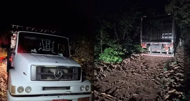 Caminhão com cerca de 500 botijões de gás é alvo de ação criminosa na região de Picos