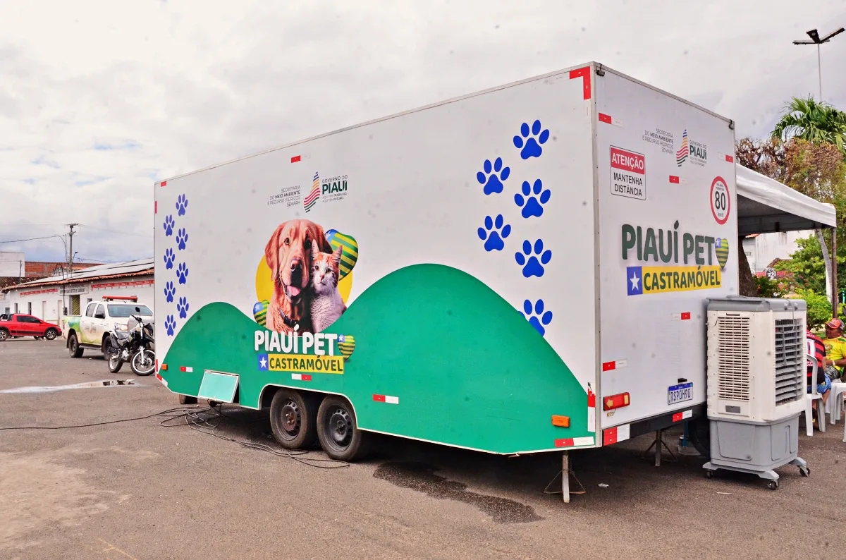 Piauí Pet chega a Santo Antônio de Lisboa com castrações gratuitas para cães e gatos