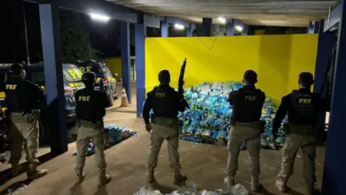 Drogas apreendida em carga de bobinas na BR-316, em Picos (Foto: PRF)