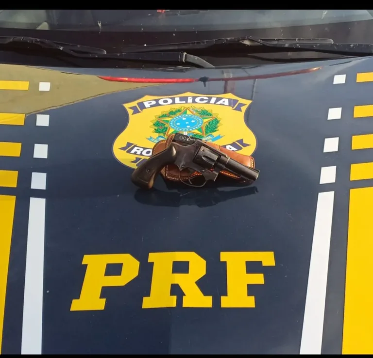 PRF prende jovem com arma de fogo durante abordagem na BR-230 em Fronteiras