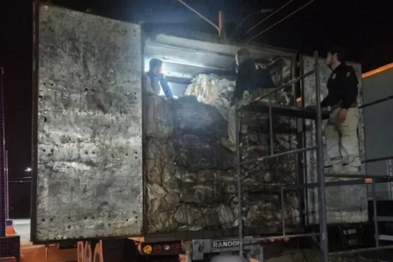 PRF apreende quase 58 m³ de madeira ilegal e anfetaminas escondidas em carga de reciclagem na BR-316 em Picos