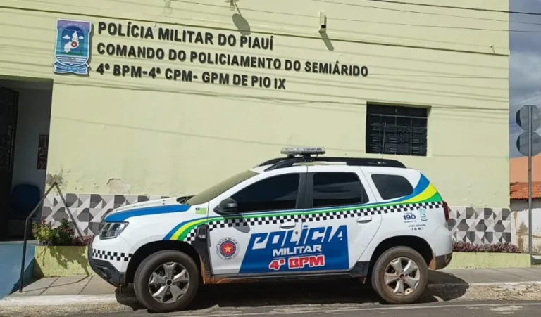 Motorista é preso após fuga e direção perigosa sob efeito de álcool na PI-378, em Pio IX