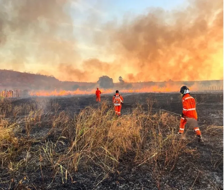 Incêndios em vegetação caem 29% na região de Picos, mas Bombeiros alertam para período mais crítico do ano