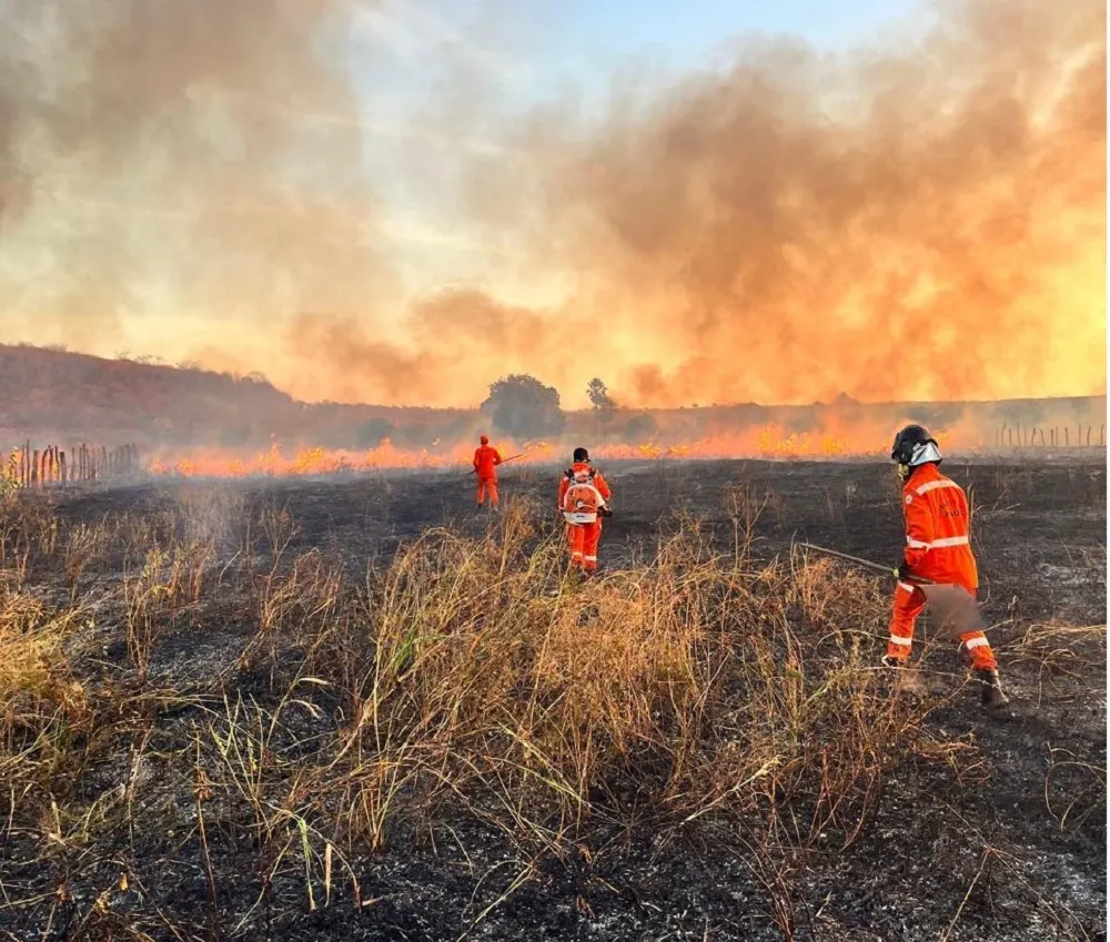 Incêndios em vegetação caem 29% na região de Picos, mas Bombeiros alertam para período mais crítico do ano