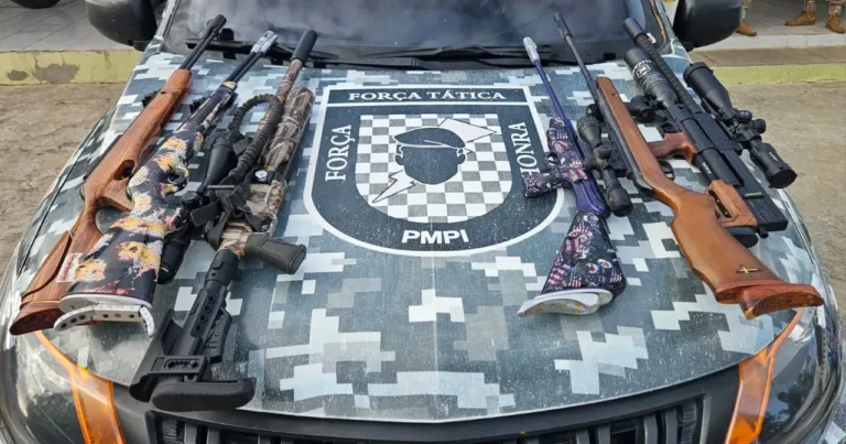Polícia Militar apreende pistolas, espingardas e mais de 100 munições durante operação em Pio IX