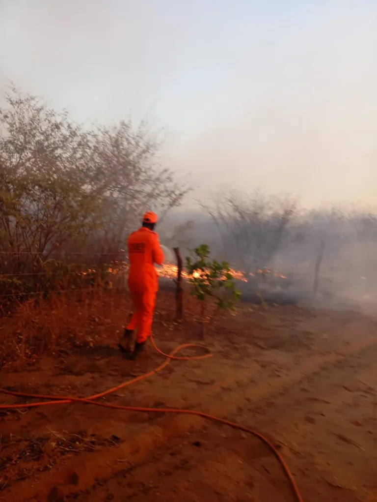 Incêndio de grandes proporções é controlado em Dom Expedito Lopes