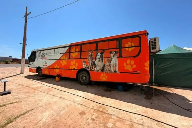 Busão da Castração abre 200 novas vagas e ultrapassa a marca de 2.300 atendimentos em Picos